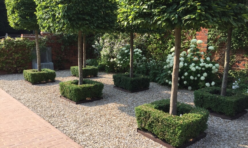 Large tree planting services | Abbey Garden