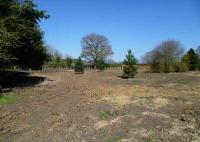 Soft landscaping and planting in progress by Abbey Garden Design, Sussex