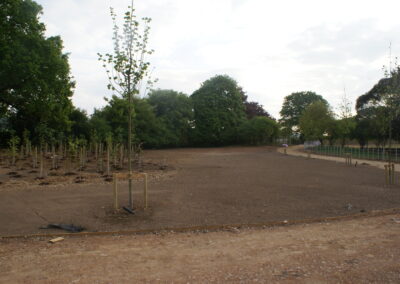 Large tree planting in progress by Abbey Garden Design, Sussex