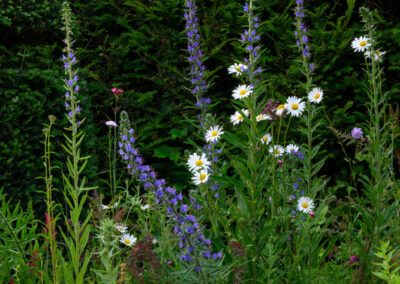 Finished soft landscaping and planting by Abbey Garden Design, Sussex