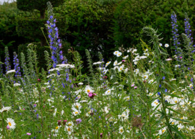 Finished soft landscaping and planting by Abbey Garden Design, Sussex