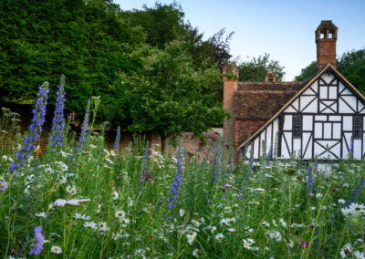 Finished soft landscaping and planting by Abbey Garden Design, Sussex