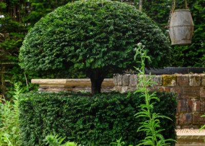 Finished soft landscaping and planting by Abbey Garden Design, Sussex