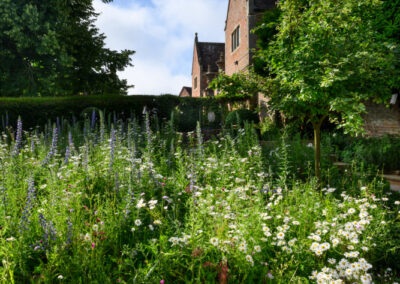 Finished soft landscaping and planting by Abbey Garden Design, Sussex
