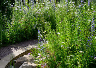 Finished soft landscaping and planting by Abbey Garden Design, Sussex