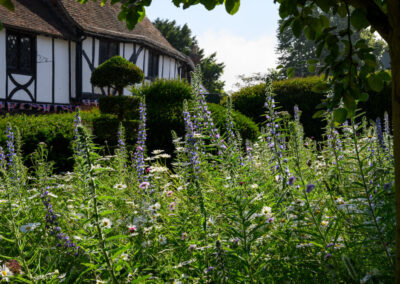 Finished soft landscaping and planting by Abbey Garden Design, Sussex