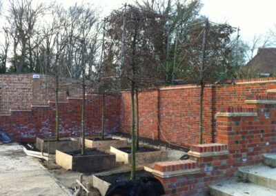 Large tree planting in progress by Abbey Garden Design, Sussex