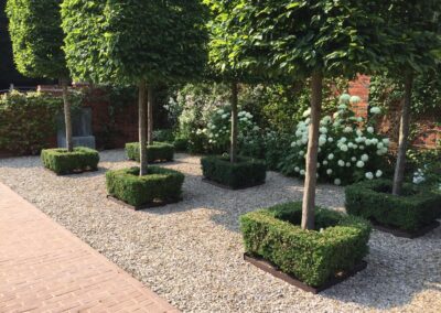 Finished large tree planting by Abbey Garden Design, Sussex