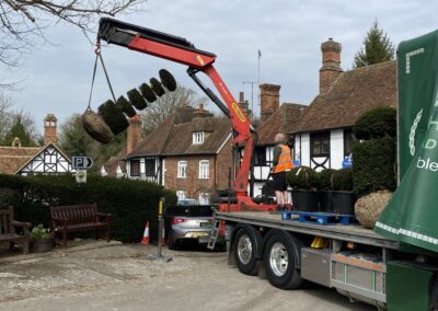 Large tree planting in progress by Abbey Garden Design, Sussex