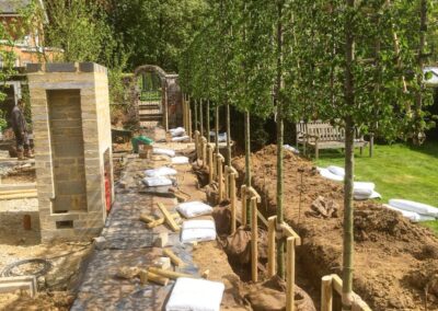 Large tree planting in progress by Abbey Garden Design, Sussex