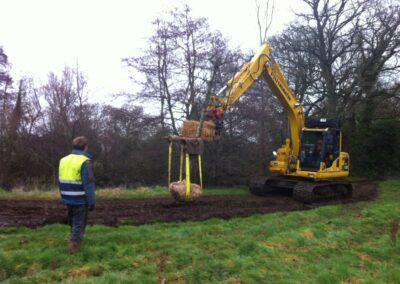 Large tree planting in progress by Abbey Garden Design, Sussex