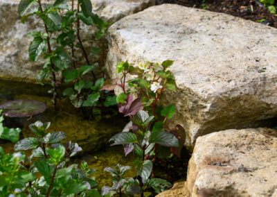 Finished water landscaping by Abbey Garden Design, Sussex