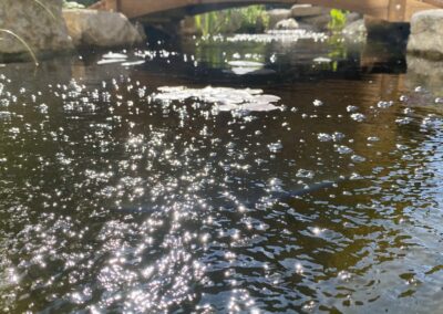 Finished water landscaping by Abbey Garden Design, Sussex