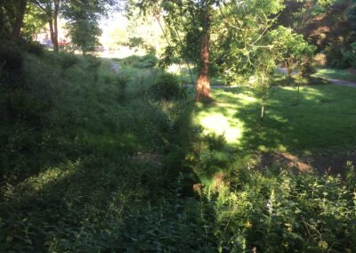 Finished water landscaping by Abbey Garden Design, Sussex