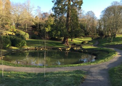 Finished water landscaping by Abbey Garden Design, Sussex